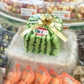 Kỹ thuật trồng dưa hấu vuông